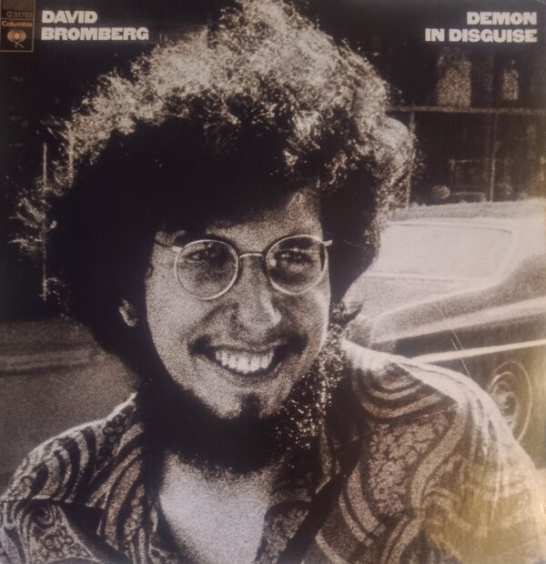 DAVID BROMBERG - Demon In Disguised