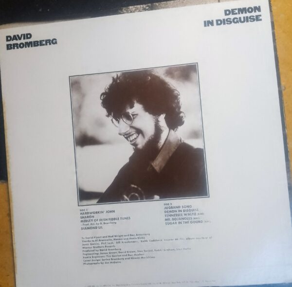 DAVID BROMBERG - Demon In Disguised - Image 2