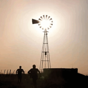 DIVIDIDOS - Amapola del ´66