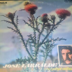 JOSÉ LARRALDE - Y un Porqué Sin Final
