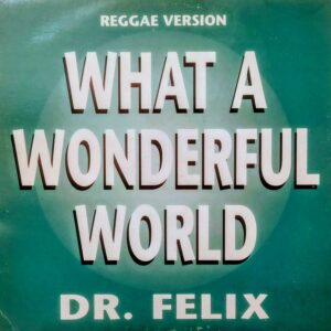 DR. FELIX - What a Wonderful World Reggae Version