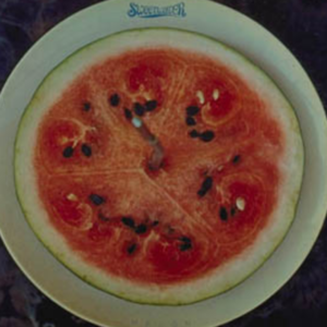 SWEETWATER - Melon